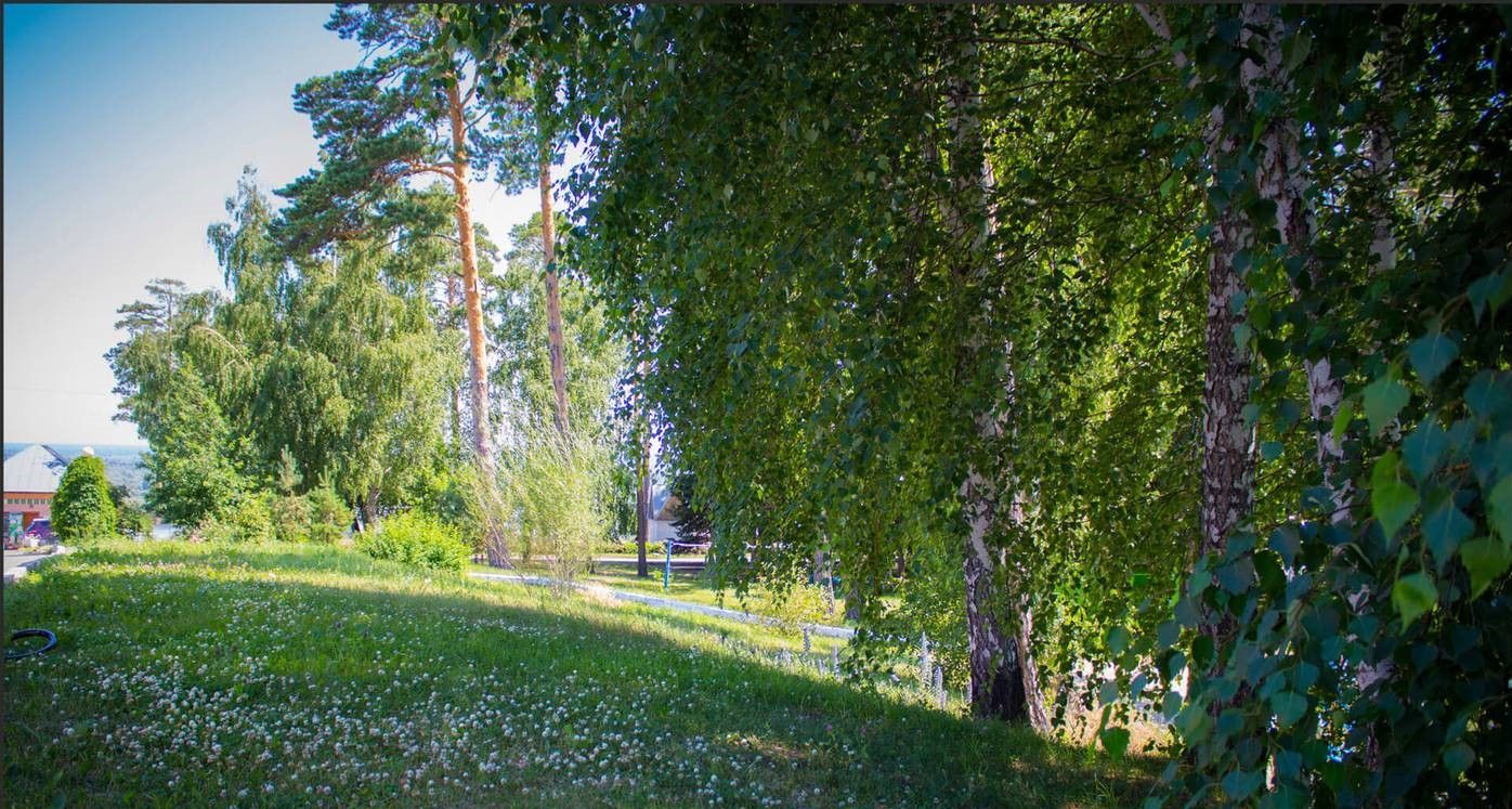 Барнаул санаторий Барнаульский
