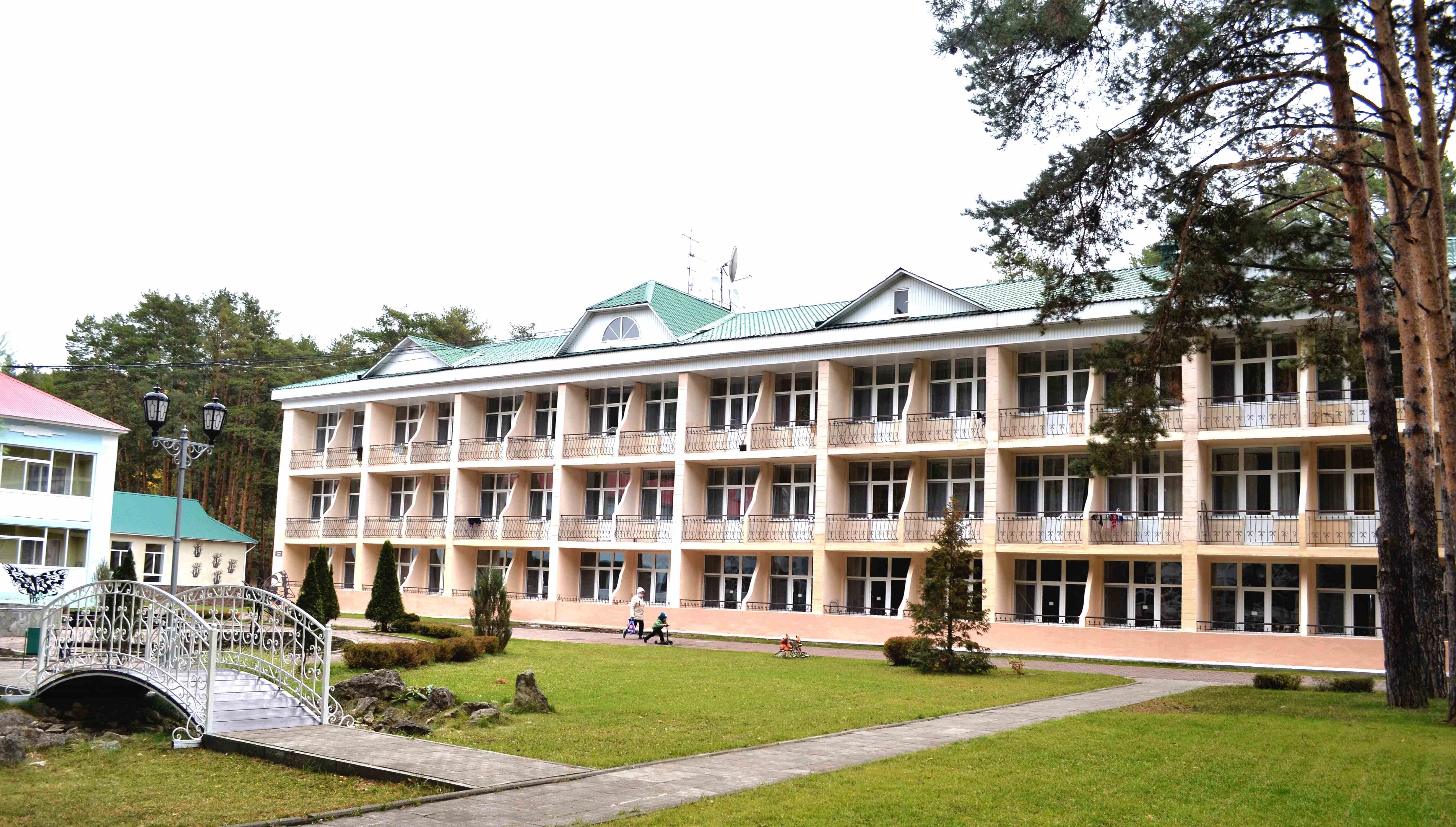 карагай агачы